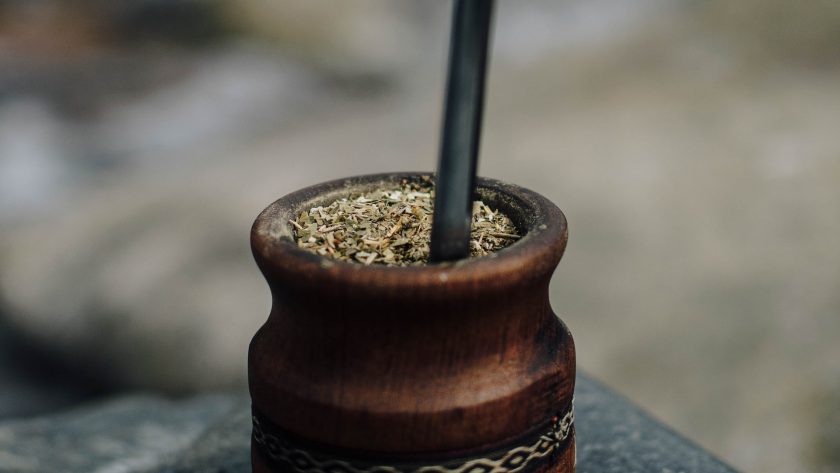 yerba maté bio culture