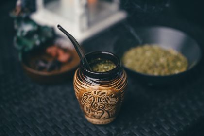 guide yerba maté bien-être plante herbe raison pourquoi boire fatigue sport fitness performance cholestérol caféine