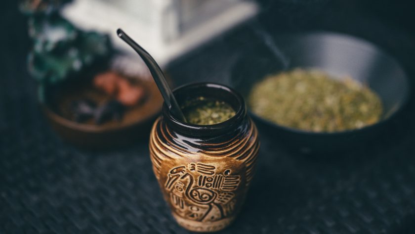 guide yerba maté bien-être plante herbe raison pourquoi boire fatigue sport fitness performance cholestérol caféine