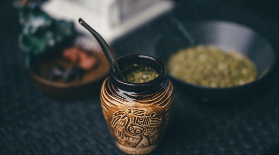 guide yerba maté bien-être plante herbe raison pourquoi boire fatigue sport fitness performance cholestérol caféine