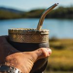 propriétés médicinales du maté