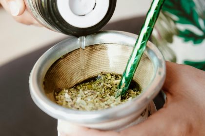 choisir son maté
