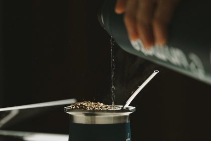 boire du yerba maté tous les jours